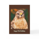 93rd Birthday, Red-shouldered Hawk
