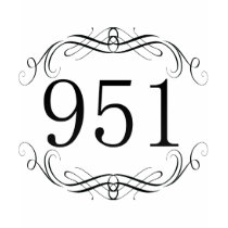 951 Area Code T Shirt