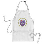 97th Civil Affairs Bn - Airborne Apron