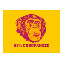 98% Chimpanzee Postcards