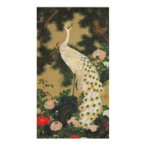 9. 老松孔雀図, 若冲 Old Pine-tree and Peacock, Jakuchu Posters