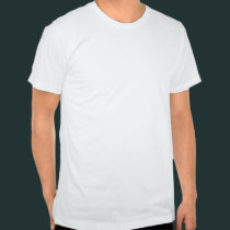 9/11 Demand Truth t-shirts