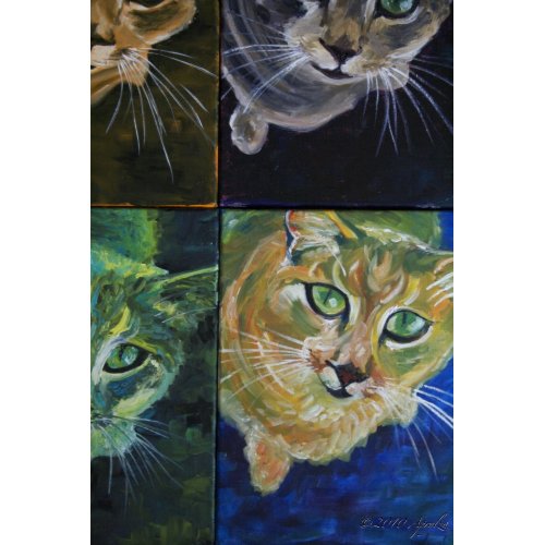 9 Lives: one cat, 4 views print