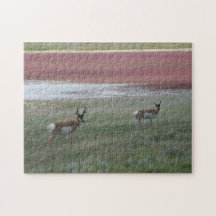 A0002 Pronghorn Antelope Jigsaw Puzzle