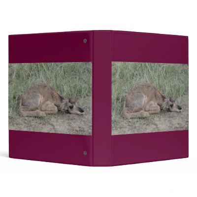 A0006 Baby Pronghorn Antelope Vinyl Binder by FlatlanderSam
