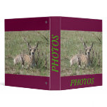 A0007 Baby Pronghorn Antelope Vinyl Binder