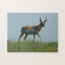 A0010 Pronghorn Antelope Jigsaw Puzzles