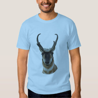 be the decoy antelope hat and shirt