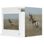 A0022 Pronghorn Antelope Binders