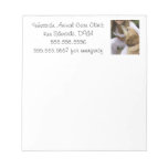 dog, labrador retriever, pet, veterinarian, pet