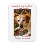 dog, labrador retriever, pet, veterinarian, pet