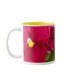 a2 Pink Raspberry Pansy Coffee Mugs