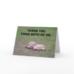 a75f, THANK YOU FROM BOTH OF US. Cards