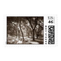 a99xel Houston - North Blvd postage