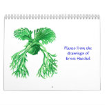 A 1012 calendar of microscopic plants and animals.