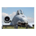 A-10 Thunderbolt II posters