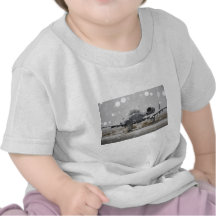 A-10 THUNDERBOLT T SHIRTS