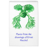 A 2012 calendar of plant drawings.