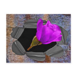 a 3D rose, post card