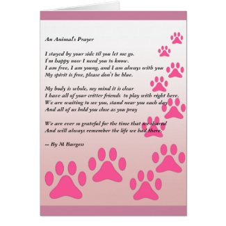 A Animal's Prayer -