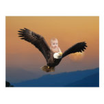 A baby and eagle sky post cards