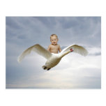 A baby and the swan sky postcards
