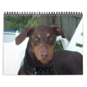 A Baby Hound, A Baby Dog 2007 calendars by guitarlady7 A Baby Hound, A Baby Dog 2007 calendars