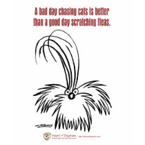 A bad day chasing cats t-shirts