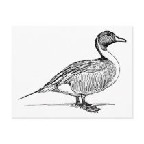 A bad day Duck Hunting is still a good day! Postcards