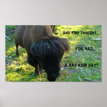 A BAD Hair day Poster