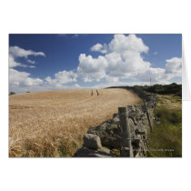 A Barbed Wire Fence Built Along A Stone Fence Greeting Card