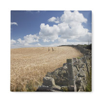 A Barbed Wire Fence Built Along A Stone Fence Magnet