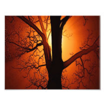 A  Bare Tree At Sunset Photo Print