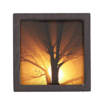A Bare Tree At Sunset Premium Trinket Boxes