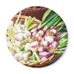 A basket of GARLIC - Naples, Italy Refrigerator Magnets