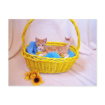 A basket of love postcards by KatAnnette A basket of love postcards