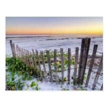 A Beach Fence at Sunset Postcard