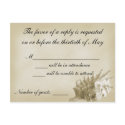 A Beach Wedding RSVP Card (Gold) postcards