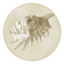 A Beach Wedding Seashell Sticker (Gold) by BeachWeddings A Beach Wedding Seashell Sticker (Gold)