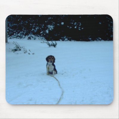 A Beagle Pup's First Snow A Beagle Pup's First Snow