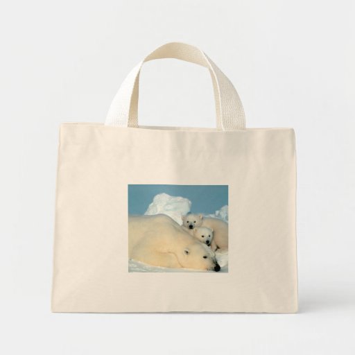 A Bear Hug Tote Bags