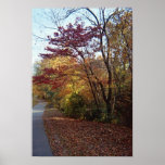 A Beautiful Arbor Posters