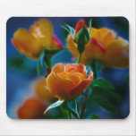 A beautiful bunch of roses and meaning mouse pads