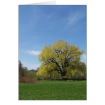 a beautiful day cards by cleverocity a beautiful day cards