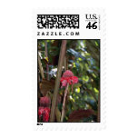 A Beautiful Flower Stamp