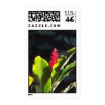 A Beautiful Flower Stamp