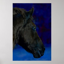 A beautiful horse posters