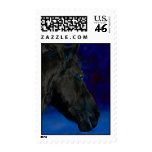 A beautiful horse stamps