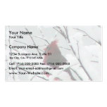 A Beautiful Red Cardinal In The Bushes Covered Wit Business Cards