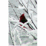 A Beautiful Red Cardinal In The Bushes Covered Wit Cut Out